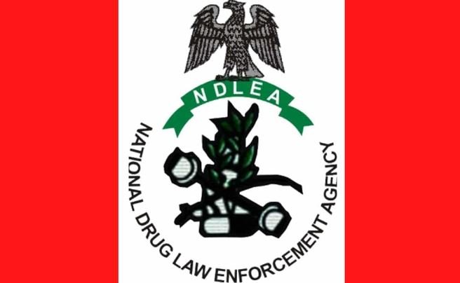 List Of NDLEA Chairmen In Nigeria