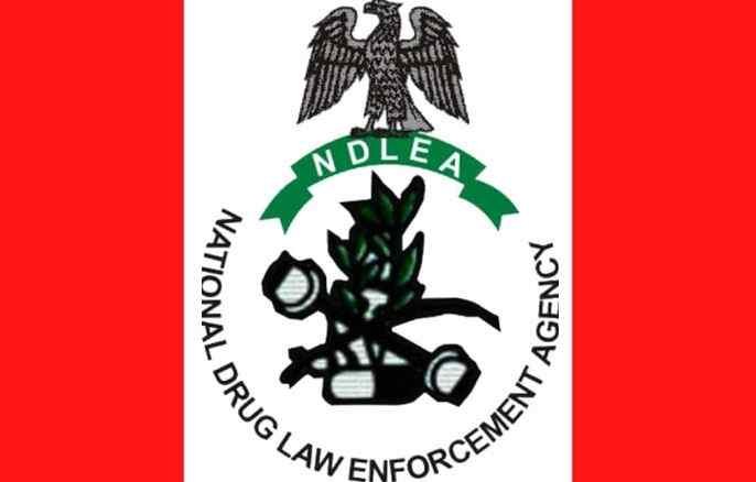 When Was NDLEA Established Who Established NDLEA